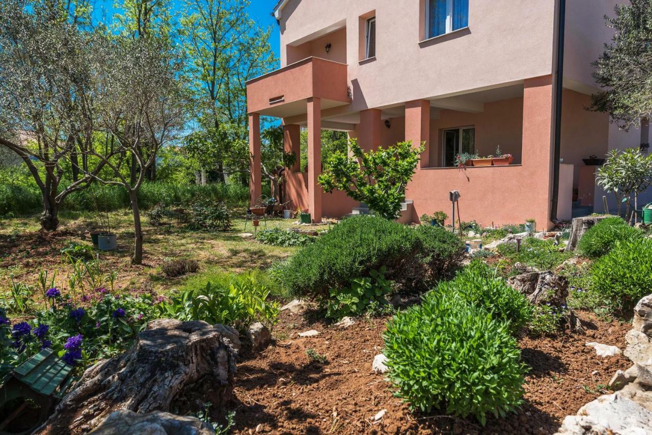 Apartman Micko Privlaka  Exteriér fotografie